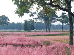 -汉长安城未央宫国家考古遗址公园