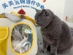 -美美宠物诊疗中心·异宠·骨科(滨江东信分院)