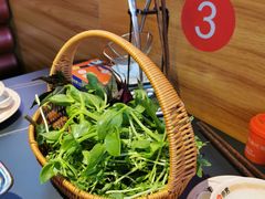 -由衷贵州酸汤牛肉火锅(新桥店)