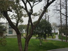 -杭州西湖柳莺里酒店·闻莺厅