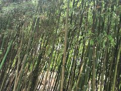 -竹泉村旅游度假区