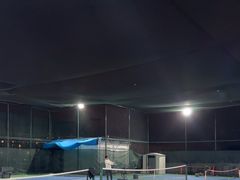 -君成体育|网球培训(蛇口校区)
