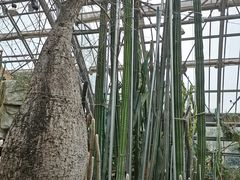 -南山植物园