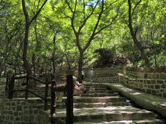-山叶口景区