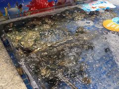 -亚马逊海鲜自助(梅溪湖步步高店)