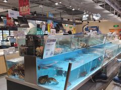 水产区-盒马鲜生(龙德广场店)