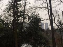 -重庆彩云湖湿地公园