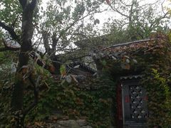 -老张烤羊(王哥庄店)