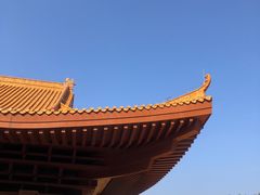 -深圳仙湖植物园