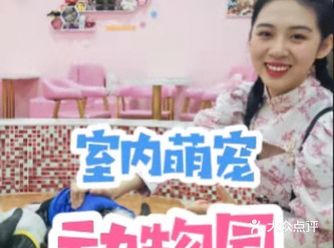 一家在北京路的宠物店 店内多以粉粉嫩嫩为主题颜色 