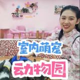 室内萌宠乐园