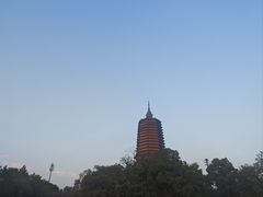 -掌上鲜(南顺城街店)