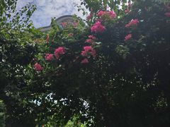 -德门仁里精品酒店(安仁店)