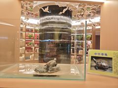 -御海8号温泉酒店