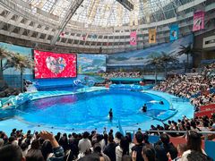 -海合安成都极地海洋公园