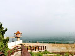 -小麦岛公园