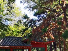 -长春市南湖公园