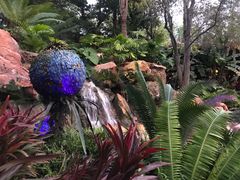 -奥兰多迪士尼动物王国乐园