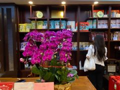 大堂-点都德(大茶楼店)