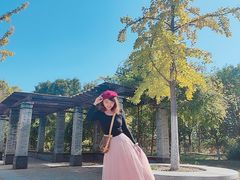 -永定河休闲森林公园