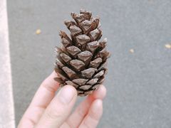 -敬亭山风景名胜区