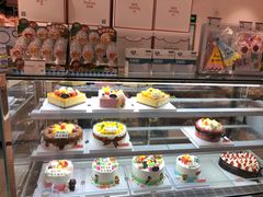 -喜莲娜动物奶油生日蛋糕(箭盘店)