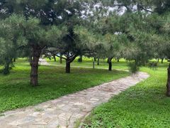 -青龙湖公园