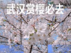 -西北湖绿化广场