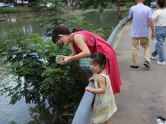-鹿亭中村