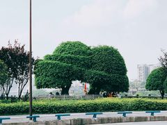 -磁器口古镇