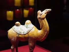 -福建博物院