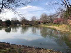 -西溪国家湿地公园