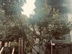 -正阳书局(西四南大街店)