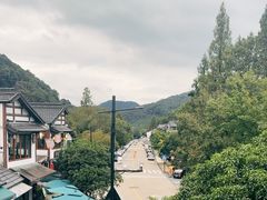 -春娟茶楼·地道农家菜(梅家坞店)