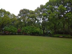 -申粤轩酒楼·三十年粤菜经典(丁香花园店)