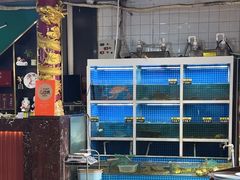 -金龙·打边炉(南京西路店)