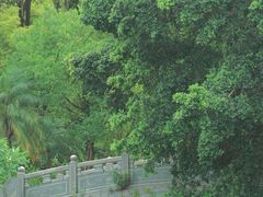 -人民公园(罗湖区)