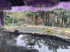 -融汇温泉
