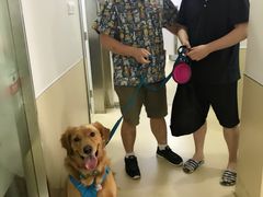 -爱侣宠医·鹦鹉专科·小型哺乳类·异宠专科(灵石路店)