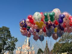 -上海迪士尼度假区