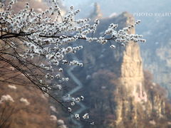 -藏山旅游风景区