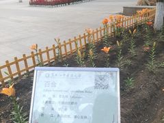 -黑龙江中医药大学