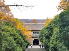 -灵谷景区