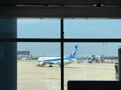 -青岛胶东国际机场