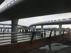 -演武大桥观景平台