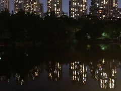 -龙头寺公园
