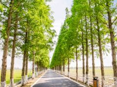 -嘉北郊野公园