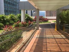 -香港大学