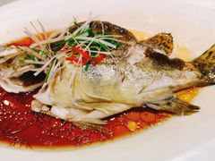 -聚鑫阁江浙菜·非遗传承技艺(闵行交大店)