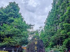 -九华山风景区